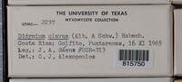 Image Associated With the Occurence